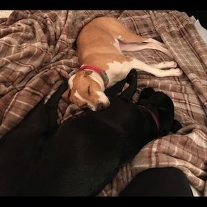 Meet your Posher, Sam